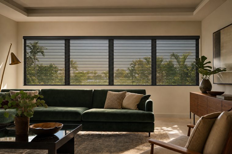 A sitting room with a dark green velvet sofa and a wide bank of four windows, motorized charcoal aluminum venetian blinds all tilted to the same angle